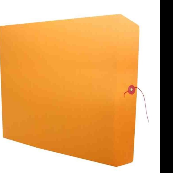 SOBRE BOLSA FOLDER 8009 - IA0331 PANUCO CR PC 80KG25250